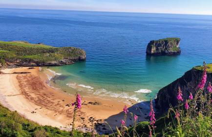 La Pitufina Blue - Foto 9