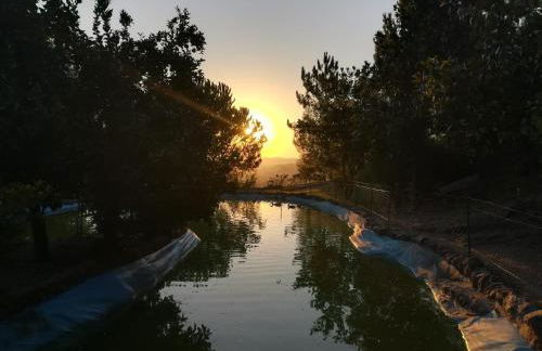 Quinta de S. Vicente 317 - Foto 72