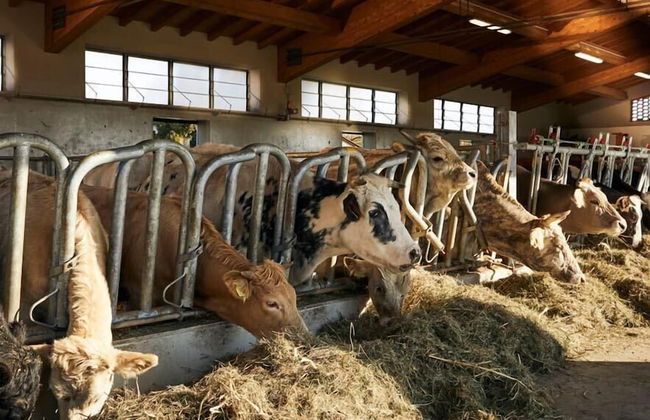 Asolo Norah's Hill Agri Rooms - Foto 84