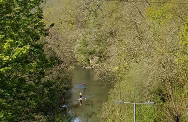 Cosy Cottage overlooking the Teifi Gorge - Foto 8