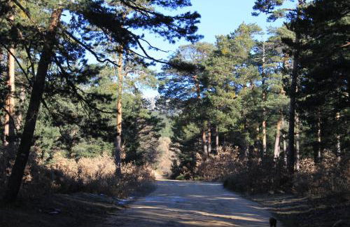 Eco Urbión - Foto 147