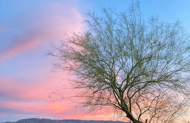 Sunrise Ranch - Photo 38