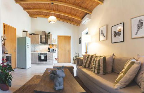 Ampelos Cretan Villa - Private Pool & Heated Ozone Jacuzzi - Photo 20