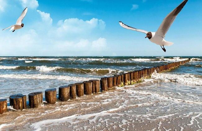 Cottages in a Quiet Neighborhood, Rusinowo - Foto 14