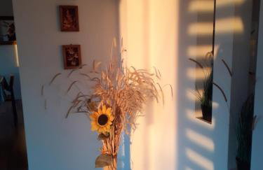 Letnisko nad Gopłem - Foto 51