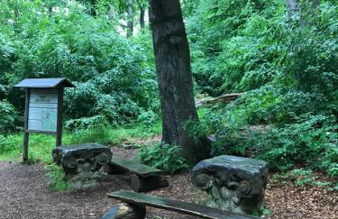 Ferienwohnung Morgensonne am Kurpark Bad Berka # gratis Parkplatz # ebenerdig # Spielplatz # WLAN # 2 Schlafzimmer # Nähe Weimar # Weimarer Land # Smart-TV - Photo 35