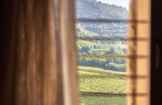 Arcadia wine resort - Adults only - Foto 17