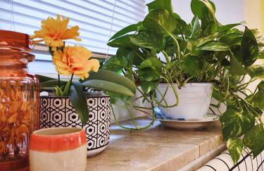 Casa Liza - appartamento nel cuore del borgo - Foto 13