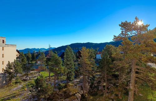 Les myrtilles La Pierre Saint Martin - Foto 17