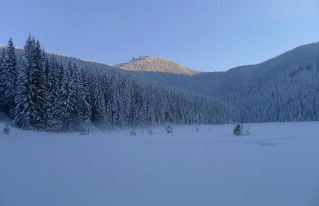 Cottage in Rinchnach Bavaria Near the Forest - Photo 26