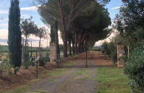 Il Podere di Sole - Foto 11