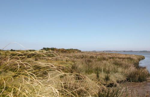 Ria de Aveiro Villa by Mycelia - Foto 57