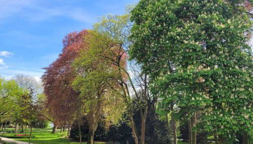 Mit Blick in den Emsseepark - Foto 5, Garden view