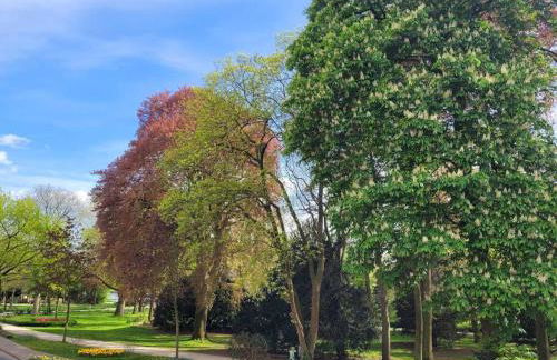 Mit Blick in den Emsseepark - Foto 5