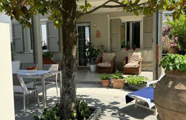 Pesciolino Rosso - Foto 7