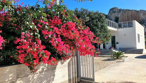 I due carrubi - Foto 2, Garden view