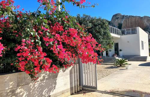 I due carrubi - Foto 2