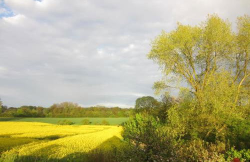 NEU! Ferienhaus mit Naturgarten - Foto 26
