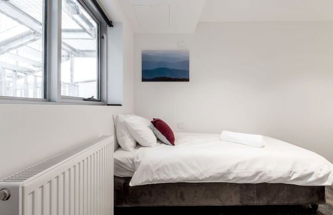 Elk at Falls - Photo 13