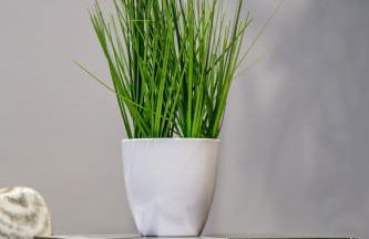 Spacious London 2-Bed Flat with a King Bed-Save on Long Stays-5 Separate Beds- Parking Available! - Foto 40