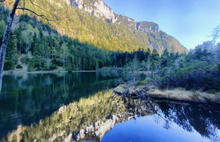 Ferienhaus Chalets Inzell - Foto 41