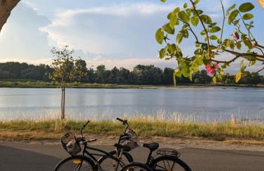 Maison de marinier les pieds dans l'eau face à la Loire - Photo 4