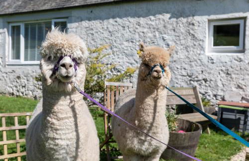 South Barlogan Farm - Photo 79