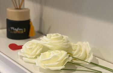 O2M Aix les bains - Foto 20