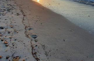 Trilocale Margine Rosso - Foto 31