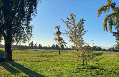 Hidden Gem LA 2bd house with dreamy backyard - Foto 19