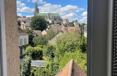 Duplex bord de l'Eure - Parking inclus - Jolie vue sur la cathédrale - Foto 12