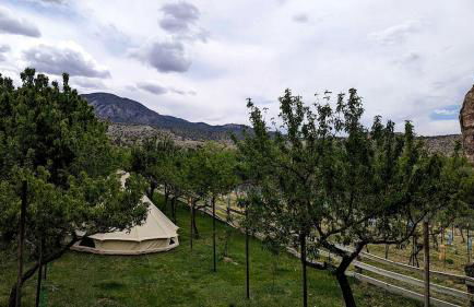 Quaint Bell Tent with Beautiful Vineyards Views in Cortez, Colorado - Foto 7
