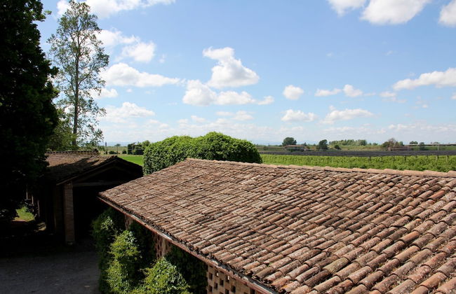 Agriturismo Palazzo Minelli - Foto 48