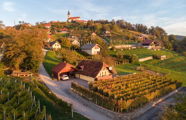 Vineyard Cottage Hocevar - Foto 1