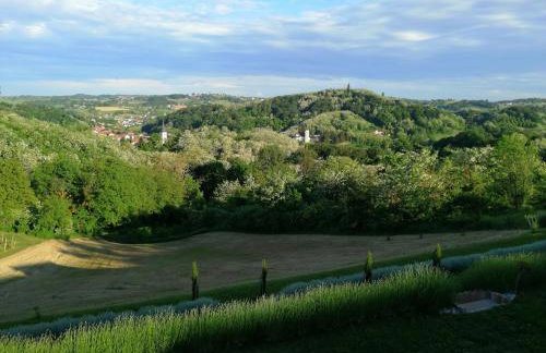 HillTop House - Foto 11