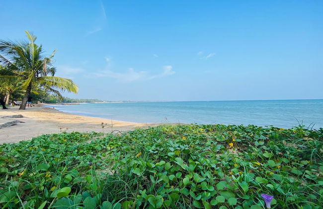 Thaprobana Villa Tangalle Private Villa - Photo 25