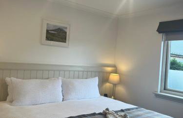 View of the Mountain - Foto 25