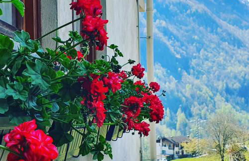 Coccinella House - Foto 38