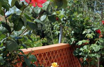 Apartments by the sea Brgulje, Molat - 6243 - Foto 24