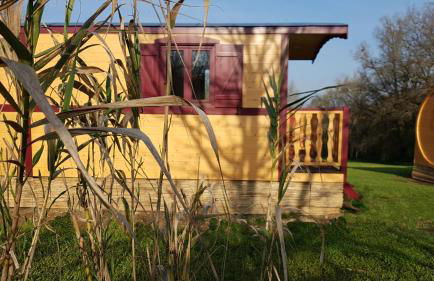 Domaine de la Brette - Photo 46