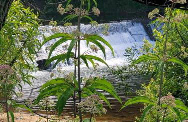 The Country Roads Cottage near WVU&COOPER'S ROCK - Foto 15