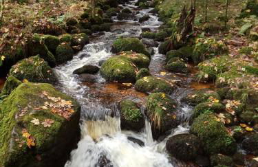 Urlaub auf dem Hänslehof - Foto 35