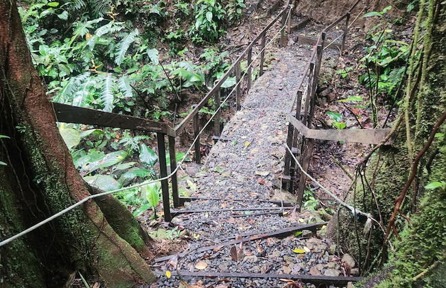 Cabañas Caeli Rainforest Glass Cabin La Perezosa La Fortuna - Foto 38
