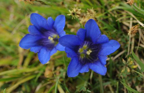 Ferienhaus am Römerweg - Foto 60