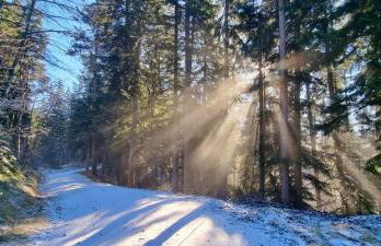 neu ab Juli - Einzigartiges Loft am Seerosenteich - Foto 42
