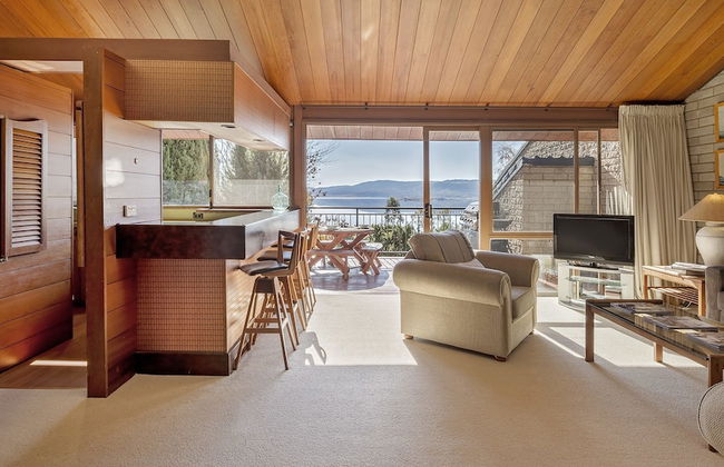 Grey Kangaroo- On Lake Jindabyne foreshore - Foto 1