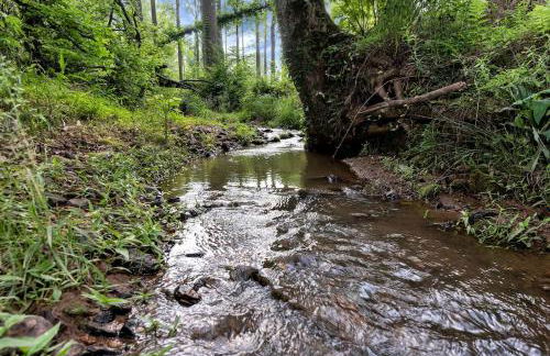 Peace of Joy Acres - Foto 50