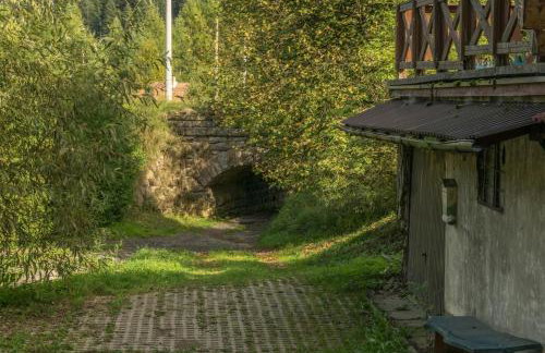 Kałamunka - Foto 79