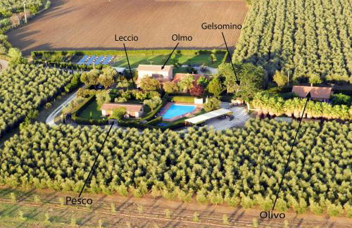 Podere Campi al Mare - Foto 1