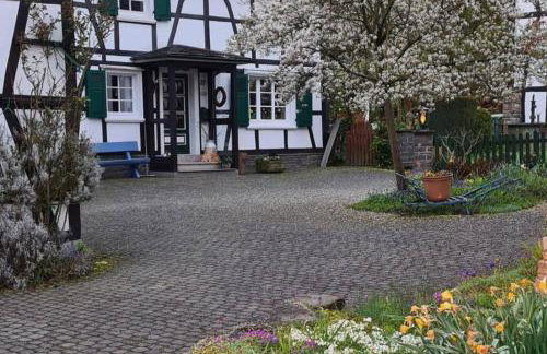 Jedermanns Nest - Foto 10